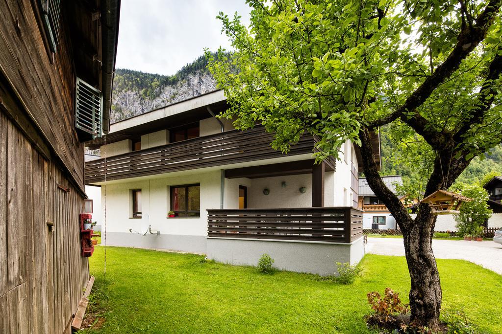 W&S Executive Apartments - Hallstatt I Exteriör bild