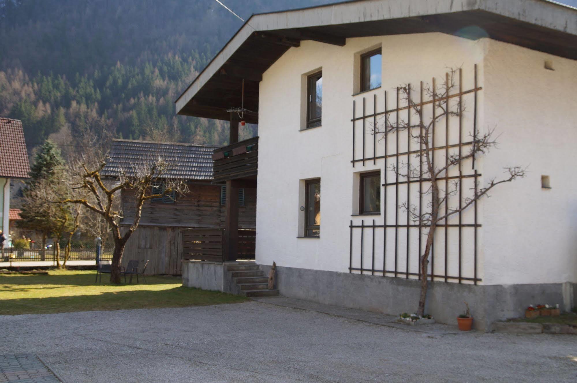 W&S Executive Apartments - Hallstatt I Exteriör bild