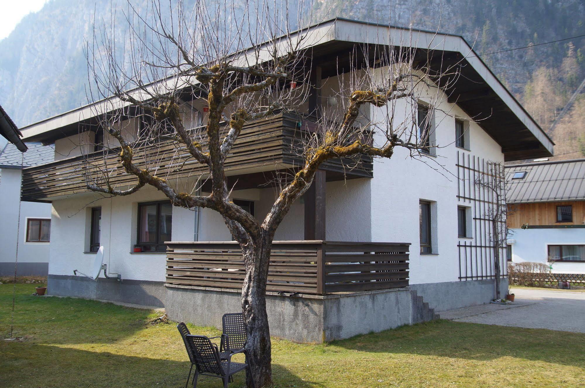 W&S Executive Apartments - Hallstatt I Exteriör bild